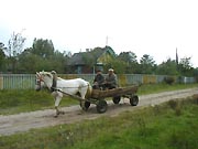 In The Village